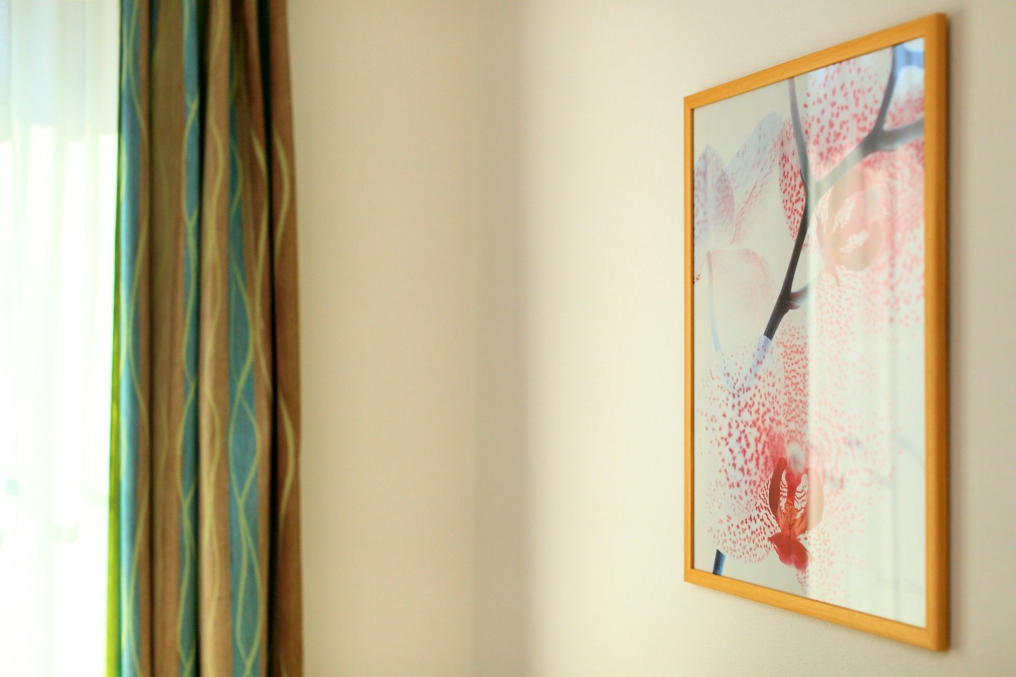 Penzion Krumlov - Massage Studio Český Krumlov Eksteriør bilde