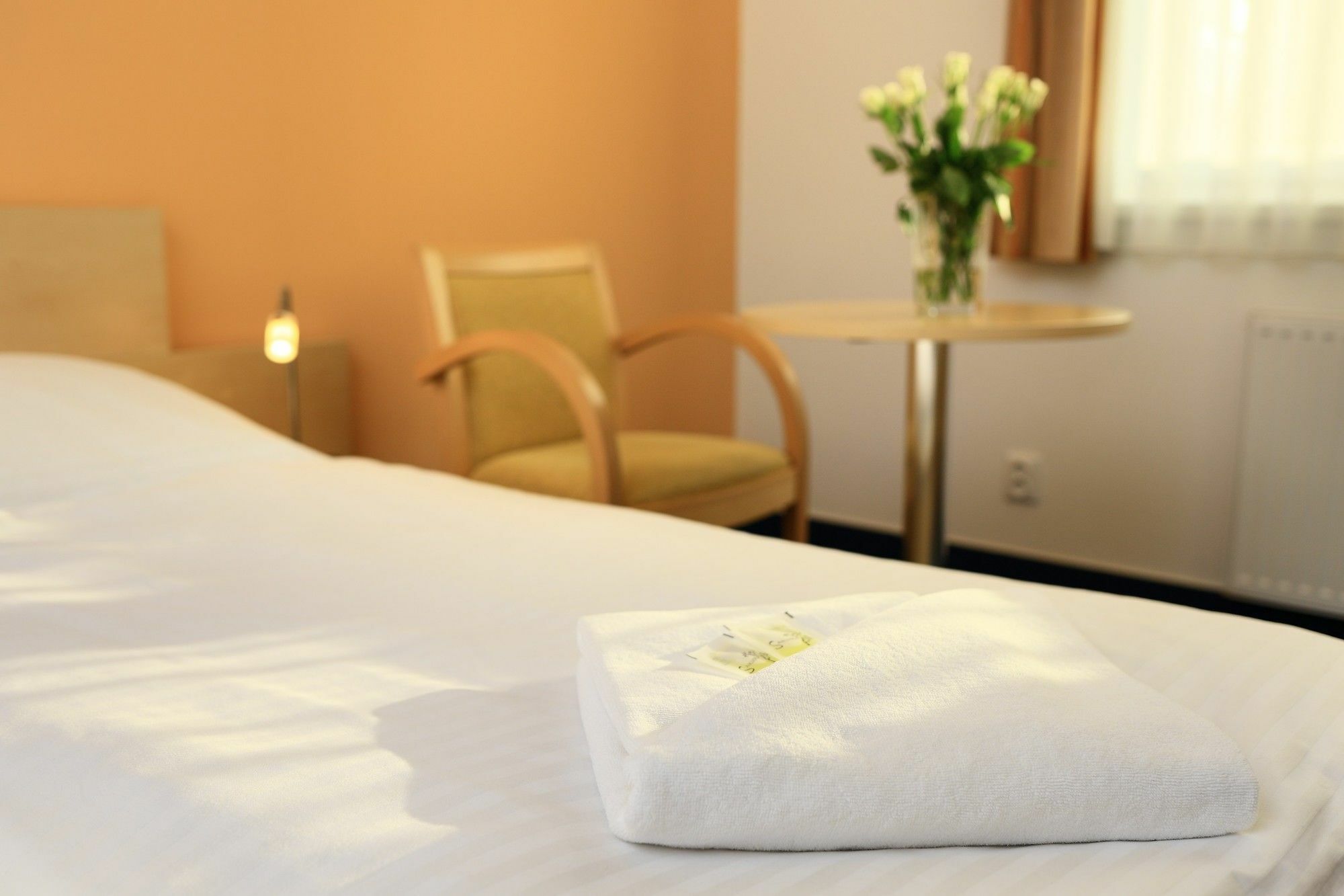 Penzion Krumlov - Massage Studio Český Krumlov Eksteriør bilde